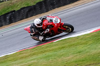 Advanced Group Red Bikes